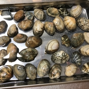 基本 貝の砂抜き あさり しじみ はまぐり等 レシピ 作り方 By どんぐり0番地 楽天レシピ 基本 貝の砂抜き あさり しじみ はまぐり等 レシピ 作り方 By どんぐり0番地 楽天レシピ